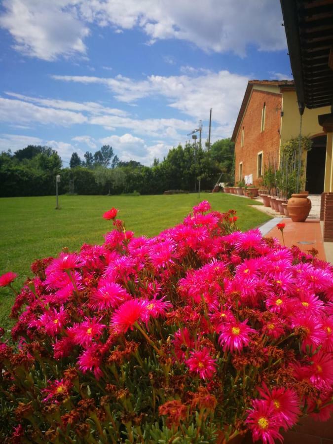 B&B La Fornace Del Sole カパンノリ エクステリア 写真