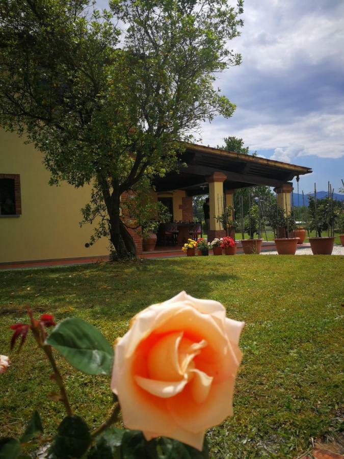 B&B La Fornace Del Sole カパンノリ エクステリア 写真